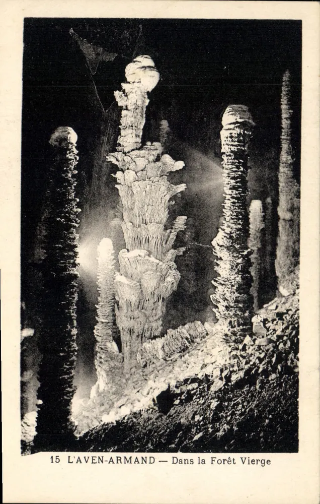 L'Aven-Armand — Nella Foresta Vergine — Fototipia Hélio - Recto