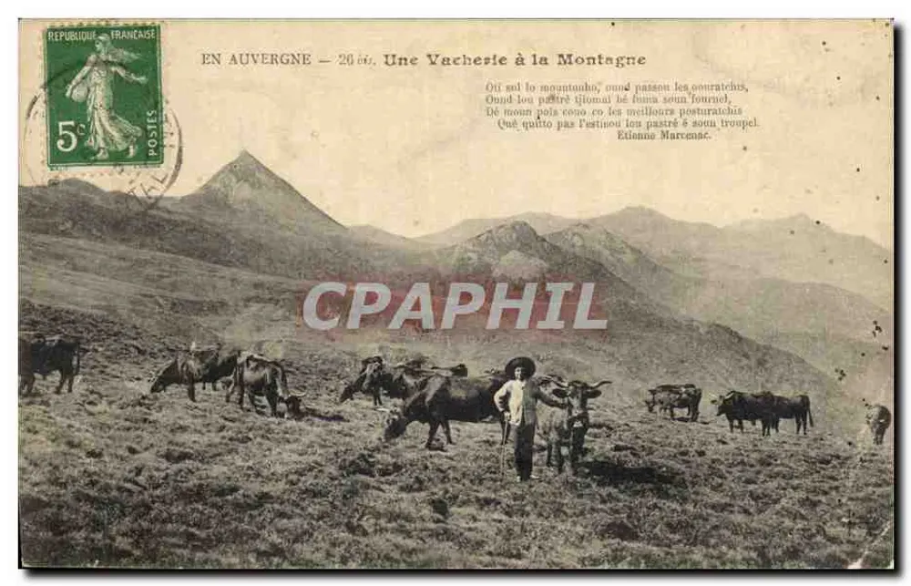 In der Auvergne — Eine Weide auf dem Berg — Verlag: Drucker nicht sichtbar - Vorderseite