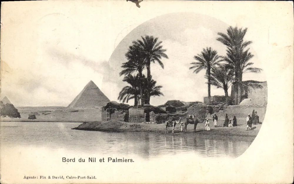 Bord du Nil et Palmiers — vue des pyramides avec palmiers et caravaniers — éditeur Fix & David, Cairo-Port-Saïd - Frente
