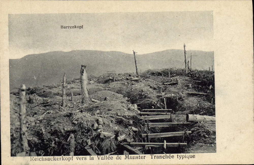 Reichsackerkopf in Richtung Tal von Munster — Typische Schützengraben — Adolphe Roth, Wolheim, plot 14 - Vorderseite