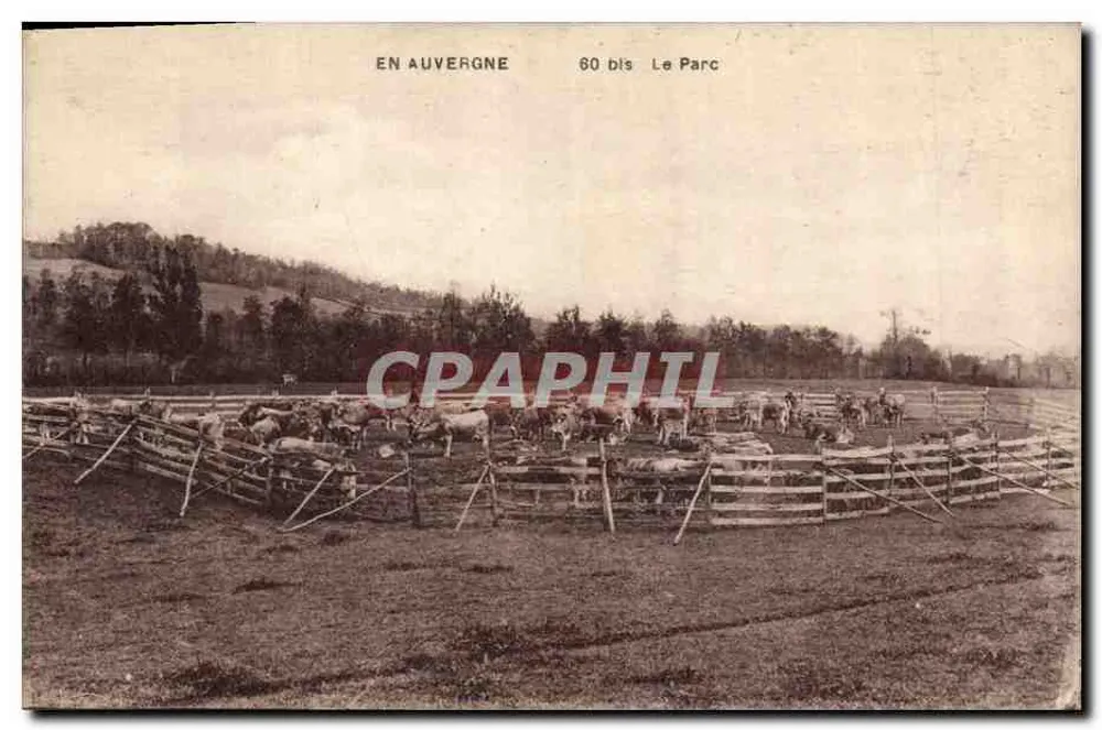 Em Auvergne — 60 bis Le Parc — Edições Malroux-Laborie-Aurillac - Frente