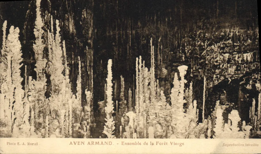 Aven Armand — Ensemble der Jungfrau-Forest — Photo E.-A. Mariel - Vorderseite