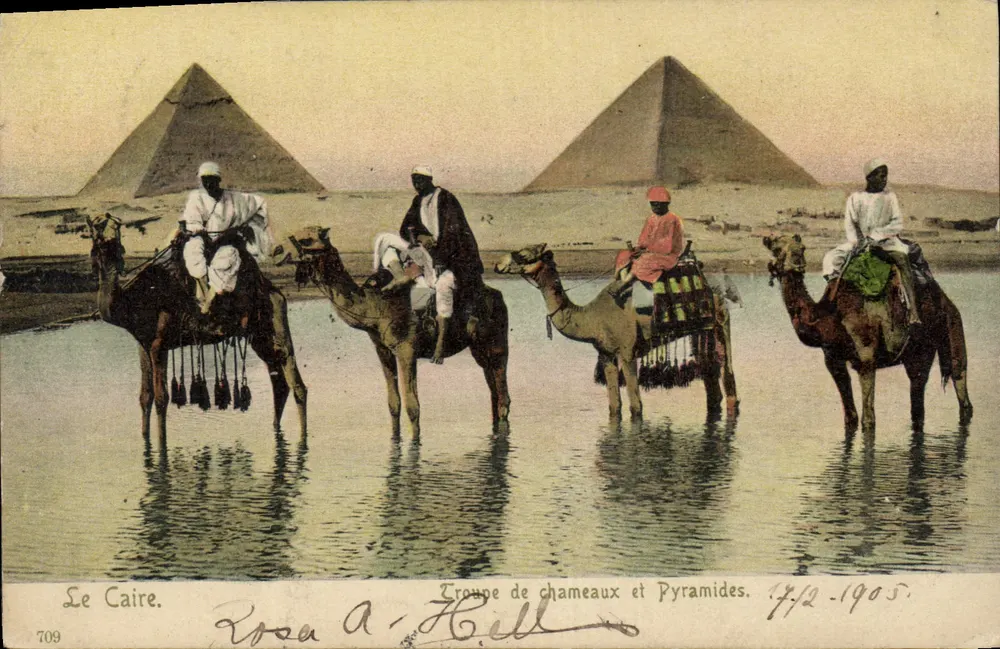 Il Cairo. Troupe di cammelli e Piramidi — Rosa A. Hell, n° 709 - Recto