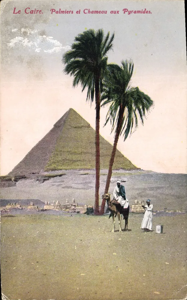 Le Caire. Palmiers et Chameau aux Pyramides — Éditeur : GUECH L. PAPAZOULOU & CO. - Vorderseite