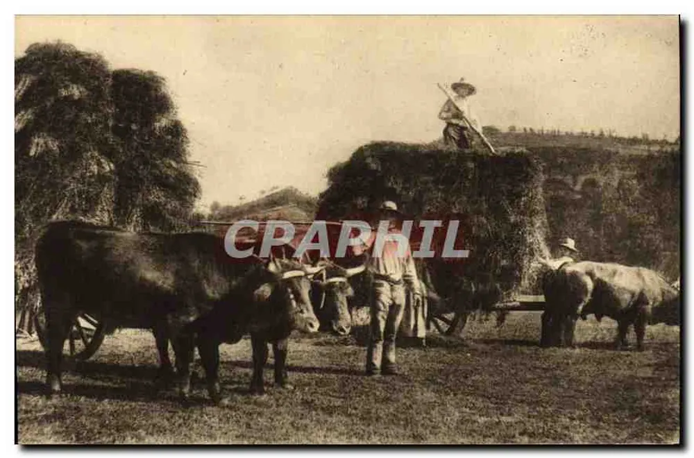A Fenaison — Tipos da Auvergne — Edição de La Cigogne (Cantal) - Frente