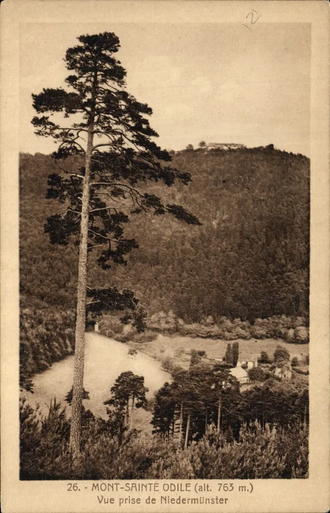 Mont-Sainte-Odile (alt. 763 m.) — Ansicht von Niedermünster — Marques Déposé - Vorderseite