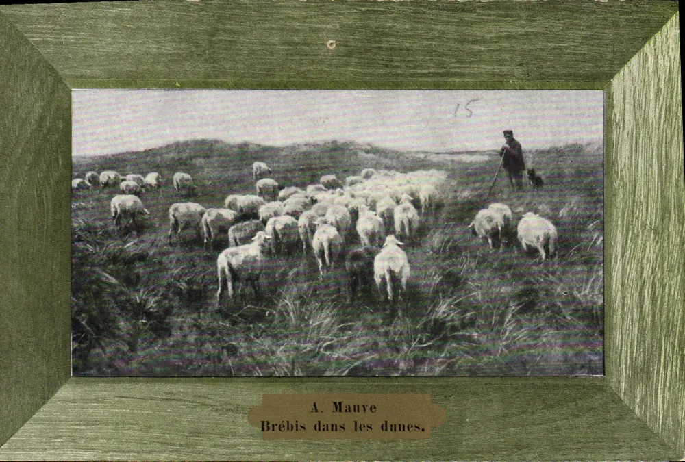Ovelhas nas dunas — A. Mauve — n°15 - Frente