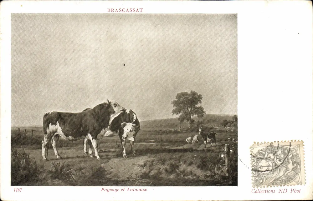 Brascassat — Paisagem e Animais — Brascassat - Frente