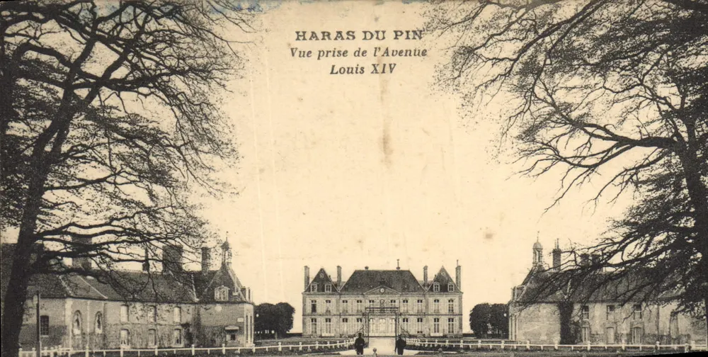 Haras du Pin — Aufnahme aus der Avenue Louis XIV — unbekannter Verleger, Seriennummer nicht sichtbar - Vorderseite