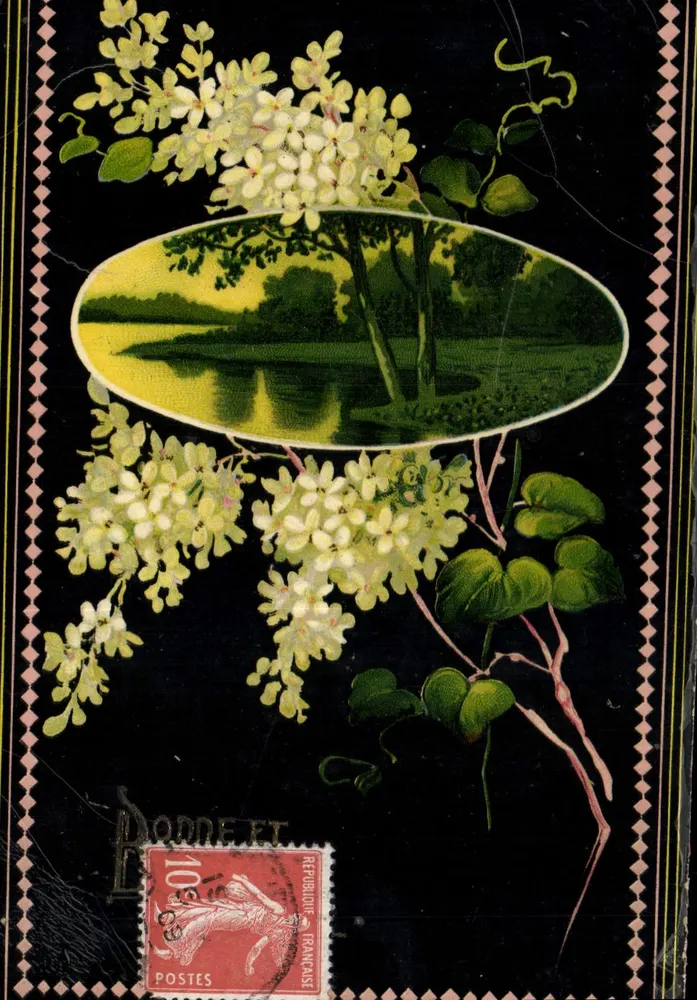 Lilás em flores — paisagem lacustre — editor não visível - Frente