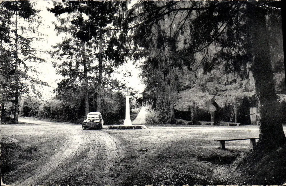Bocé (M-et-L) — Wald von Chandelais — Der Kreuzungspunkt — Sein Schloss, Sein Echtes Kreuz, Seine Apotheke - Vorderseite