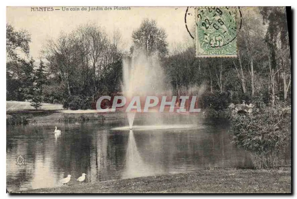 NANTES — Ein Eckbereich des Jardins des Plantes — Hetramphle - Vorderseite