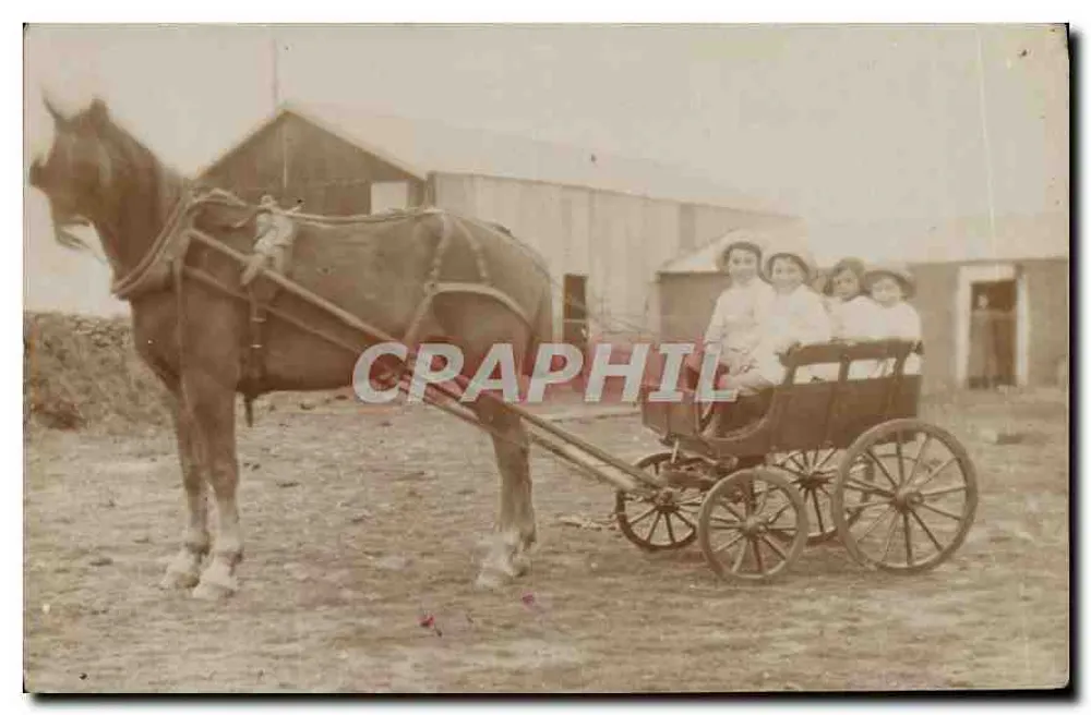 Mulheres em uma carruagem puxada por um cavalo — Argentina — Tarjeta Postal - Frente