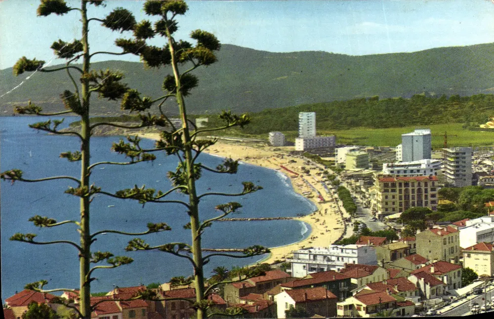 Le Lavandou (Var) — vue générale avec agave en premier plan — Les Éditions « WAB » n° 956 - Vorderseite