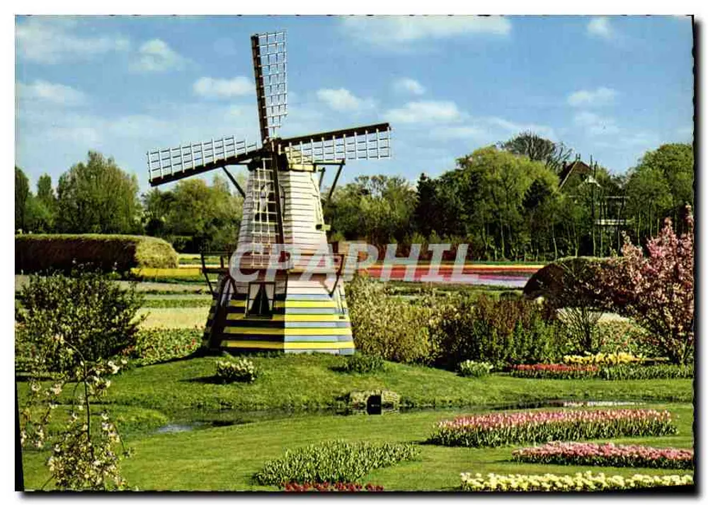 Mühle — Blühendes Landschaftsbild — Holleland - Vorderseite