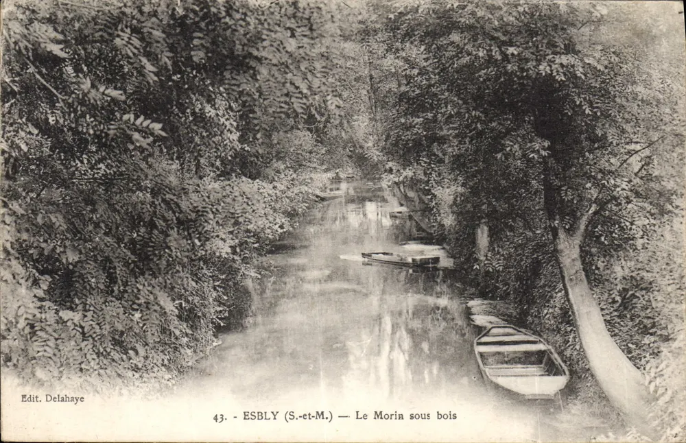 ESBLY (S.-et-M.) — Le Moria sous bois — Edit. Delahaye - Frente