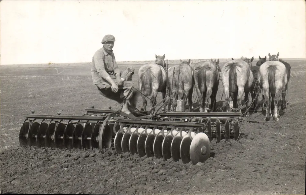 Agricultor com seis cavalos e soc de arado — Bilhete postal antigo n°130 - Frente