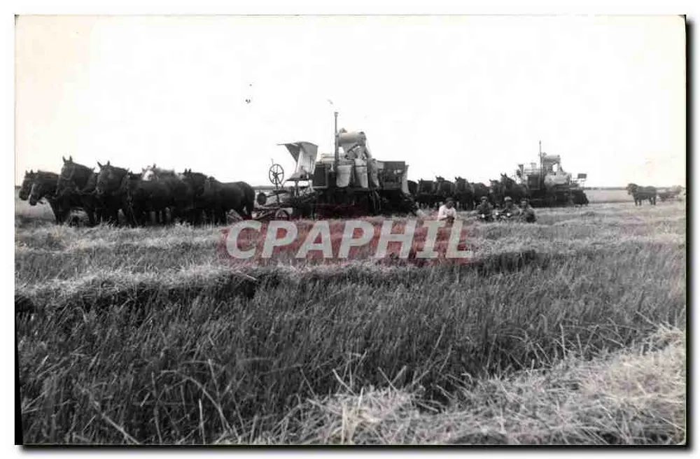 Cena agrícola com tração de cavalos e máquinas de colheita — n° 30 - Frente