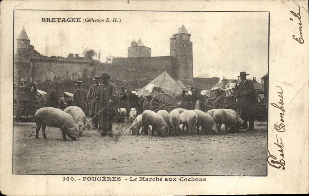 Fougères — Le Marché aux Cochons — Éditeur Carte Bonheur, n° 360 - Vorderseite