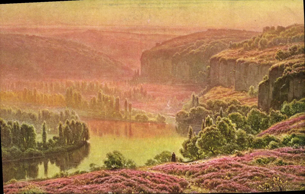 Morgennebel, blühende Heide — W. Bidier-Pouget, n°1042 - Vorderseite