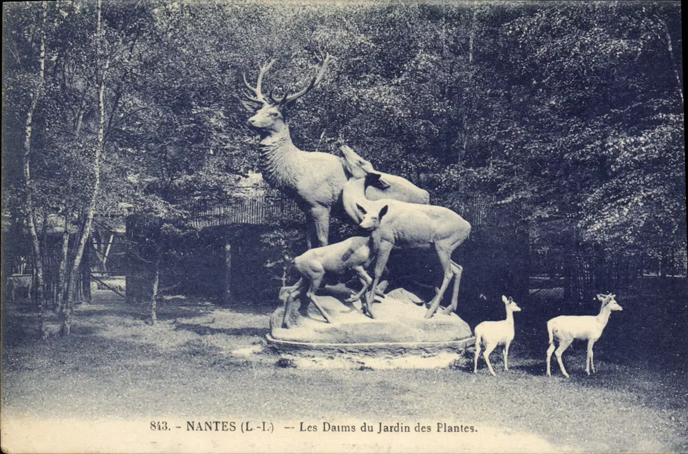 NANTES (L.-I.) — Die Hirsche des Jardin des Plantes — n° 843 - Vorderseite