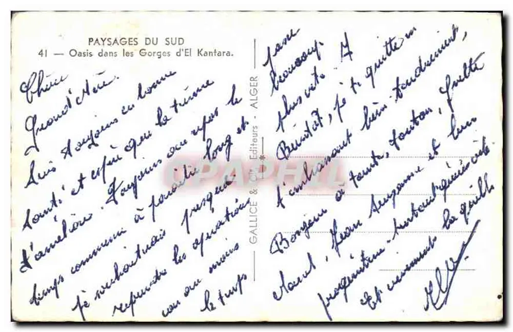 Oase in den Gorges d'El Kantara — Landschaften des Südens — Verlag Gallice & Cie, Alger, Nr. 41 - Rückseite