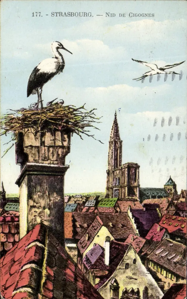 Strasbourg — Ninho de coruja — Edição La Cigogne, n°177 - Frente