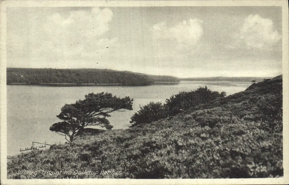 Viborg — Vue depuis Dollerup Bakker — éditeur Viborg - Recto
