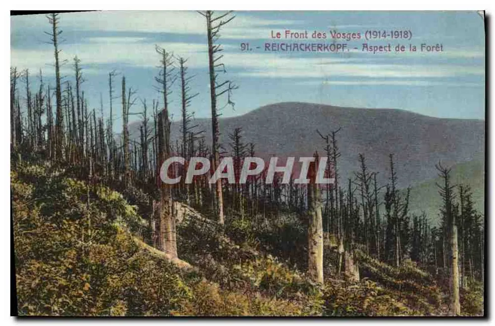 Der Front der Vosges (1914-1918) — Ausblick in den Wald — Reichackerkopf — n°91 - Vorderseite
