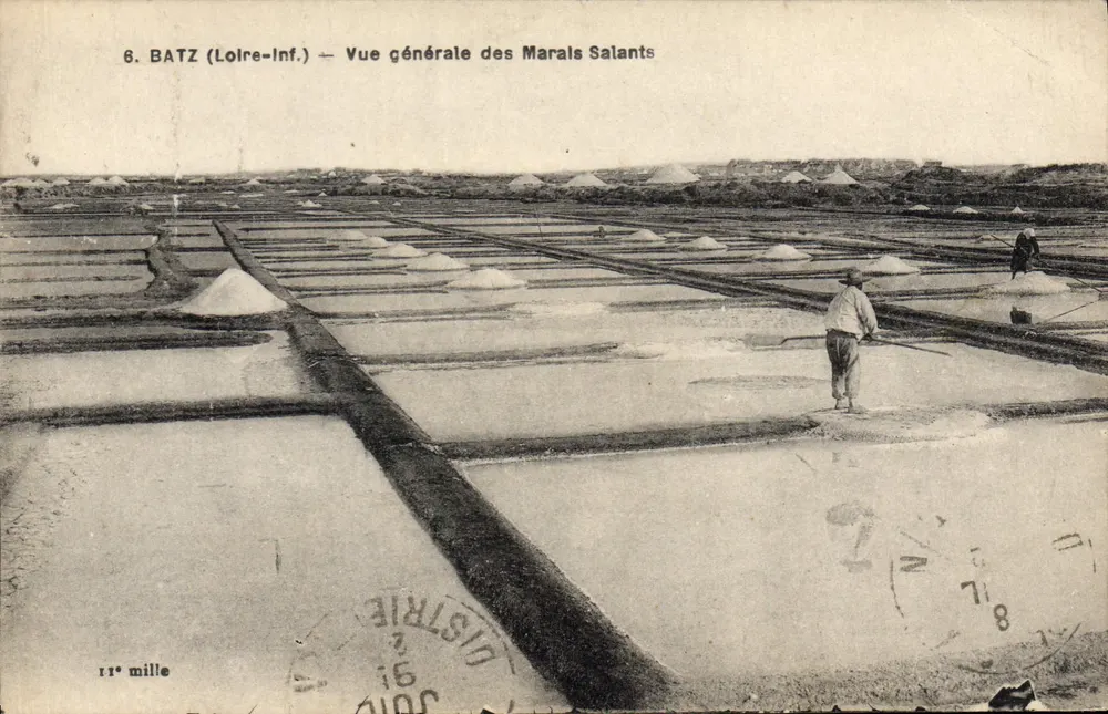 Batz (Loire-Inf.) — Allgemeiner Blick auf die Salzmoore — P. Chapeau, Verlag Nantes - Vorderseite