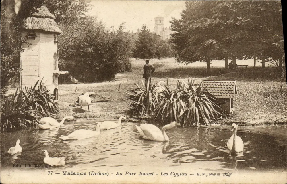 Valence (Drôme) — Auf dem Parc Jouvet — Die Schwäne — Ed. Lib. Bedoulin, n°77 - Vorderseite