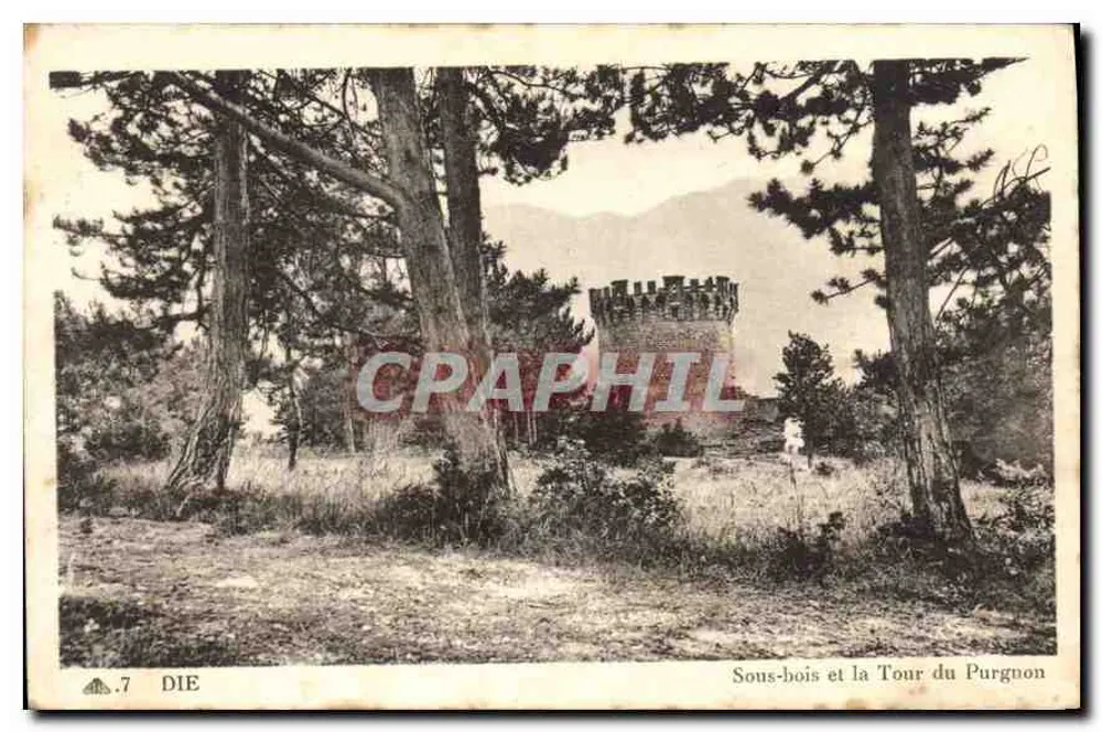 Unterholz und die Turm des Purgnon — Die (Drôme) — Verlag Bazar Die - Vorderseite