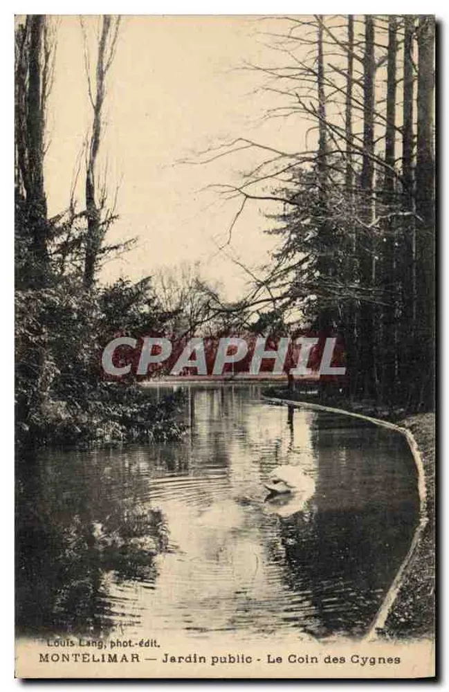 Montélimar — Öffentlicher Garten — Der Schwanenbereich — Louis Lang, Foto-Verlag - Vorderseite