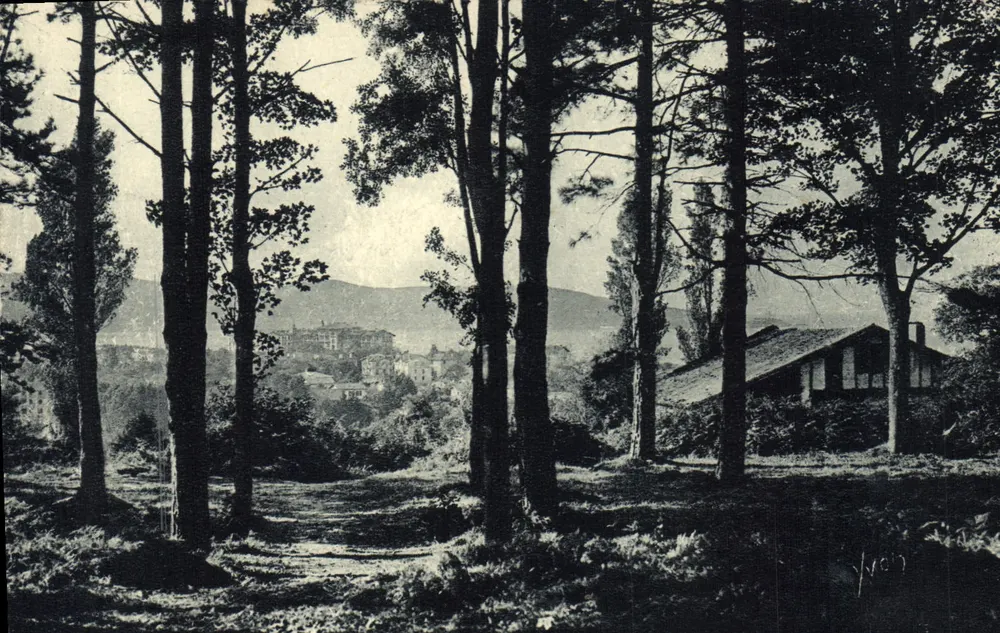 Hendaye (Basse-Loire) — Het Bois d'Amour — Edities van Kunst Yvon - Voorkant