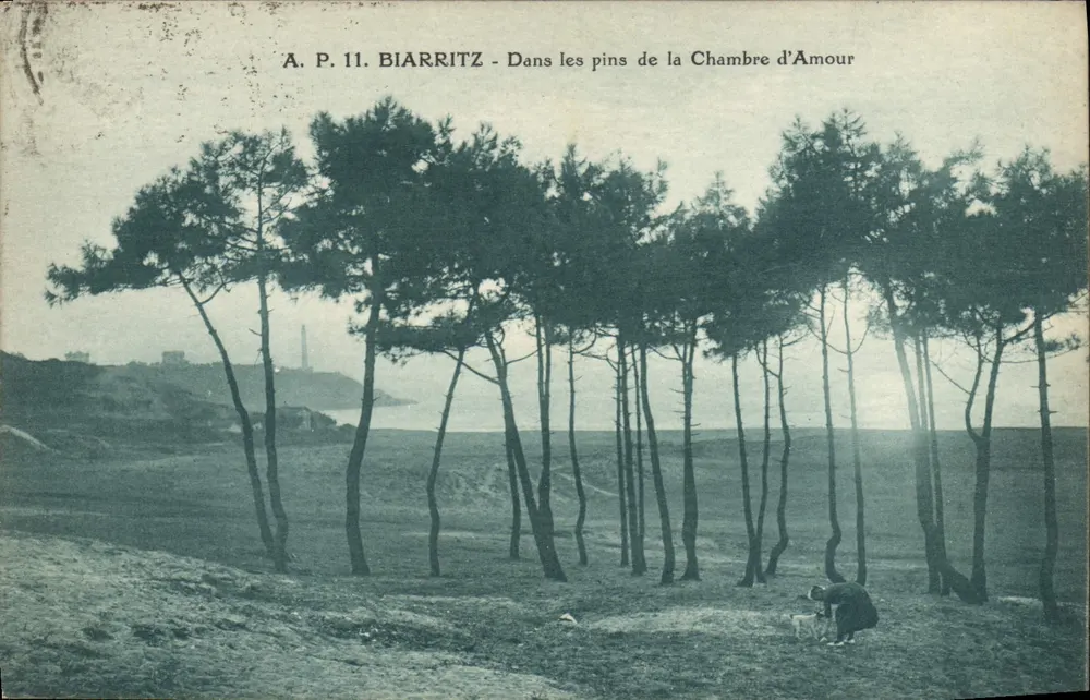 Biarritz - Unter den Kiefern der Kammer der Liebe — A. P. 11 - Vorderseite
