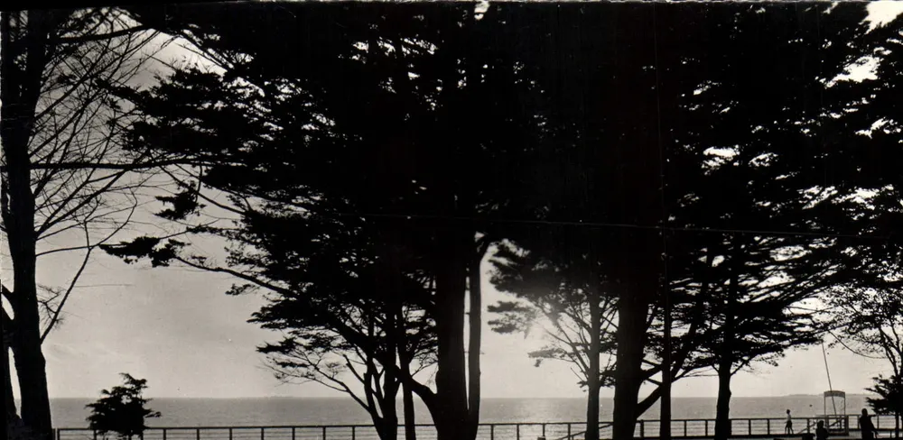 Fouras (Ch.-Mme) — Coucher de Soleil sur les Promenades — Edities Artisques Veritable - Voorkant