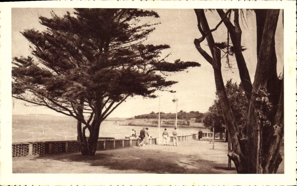 Fouras-les-Bains — Promenade des Sapinettes mit Blick auf den großen Strand — P. Dupont, Verlag - Vorderseite