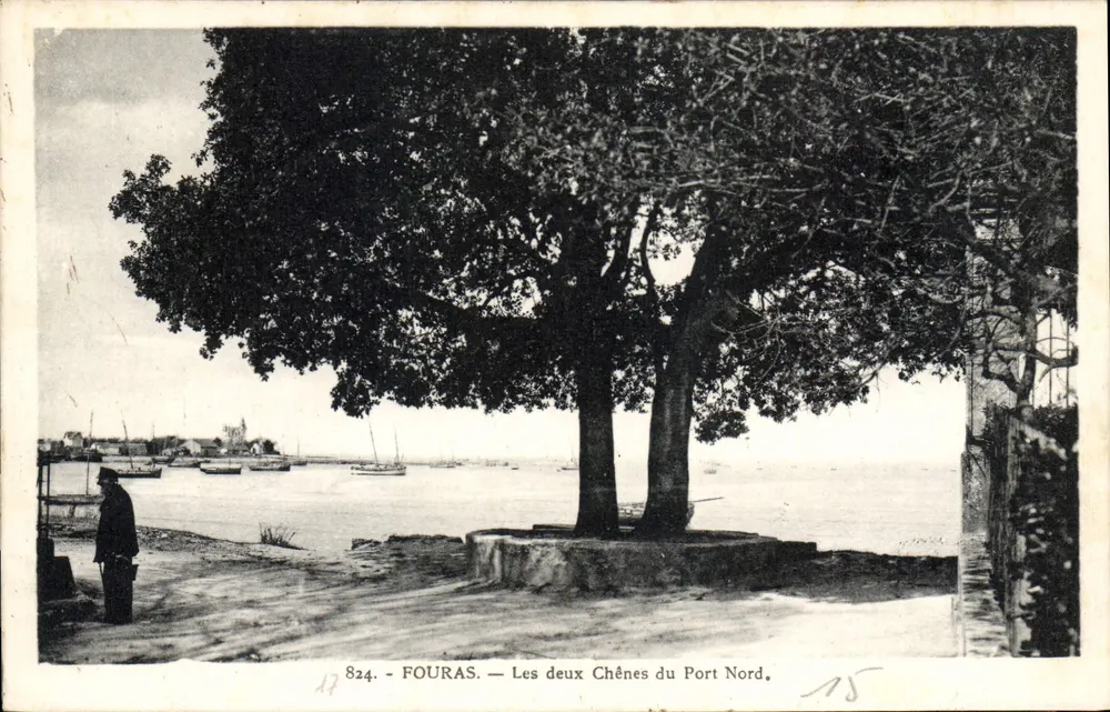 Fouras — Les deux Chênes du Port Nord — éditeur anonyme, n° 824 - Recto
