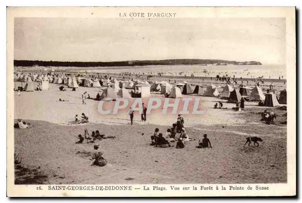 Saint-Georges-de-Didonne — Die Plage. Ansicht auf den Wald an der Spitze von Suzac — Verlag CPAPHIL, Nr. 16 - Vorderseite