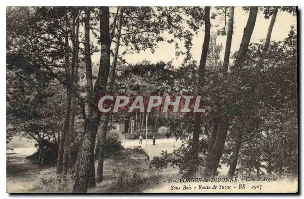 Saint-Georges-de-Diddonne — Unter den Bäumen — Suzac Straße — Côte d'Argent — BR-2907 - Vorderseite