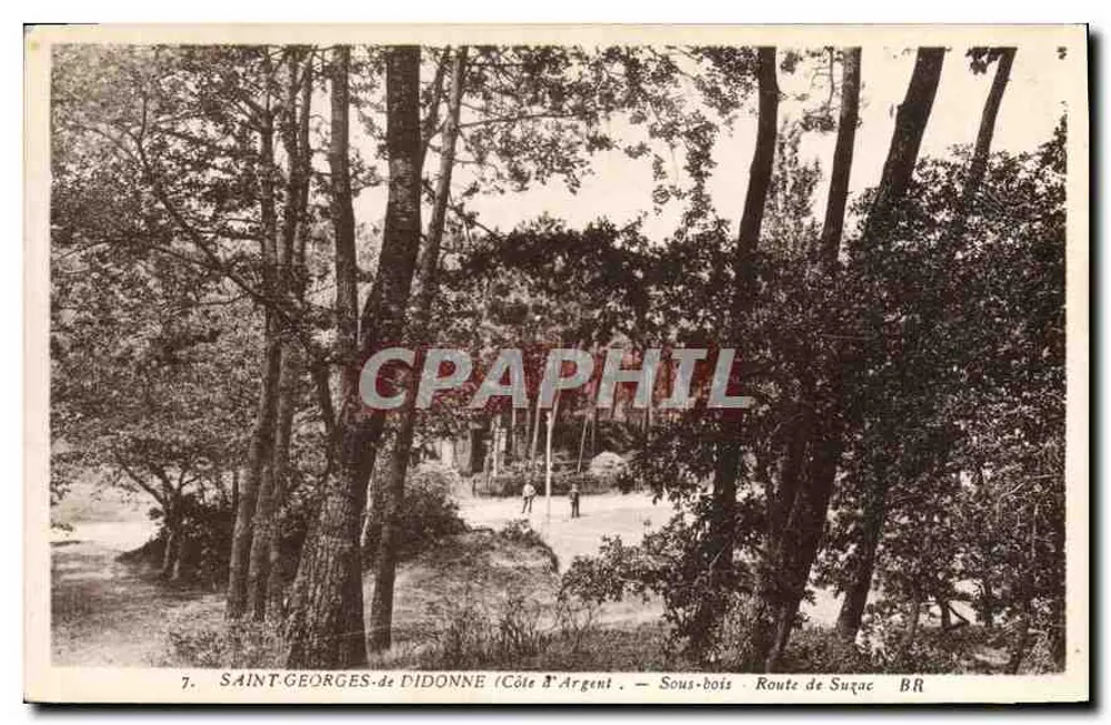 Saint-Georges-de-Didonne (Côte d'Argent) — Unterholz — Route de Suçac - Vorderseite