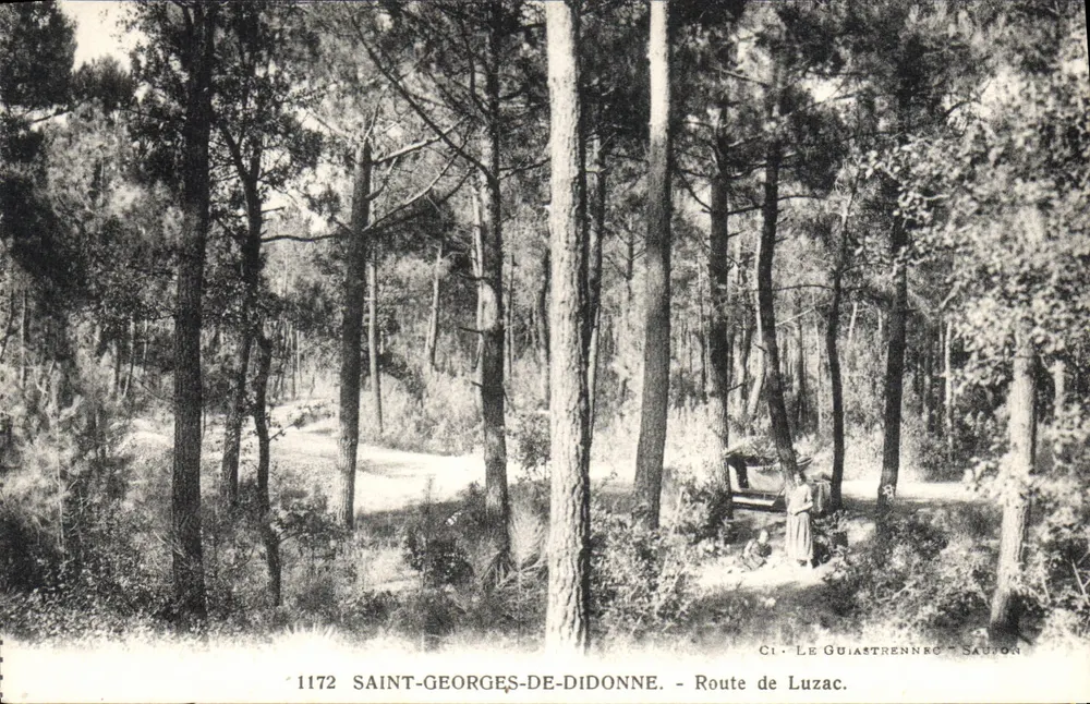 Saint-Georges-de-Diddonne — Rua de Luzac — Editor Le Guiastrenne - Saujon, n° 1172 - Frente