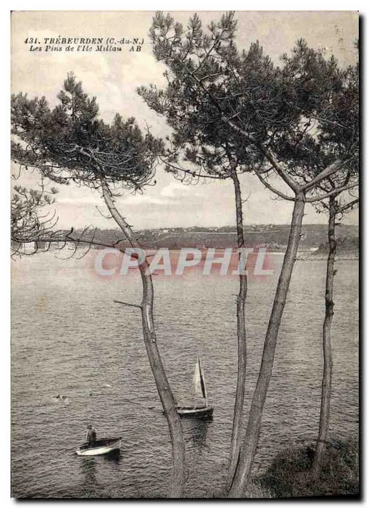 Trébeurden (C.-du-N.) — Czereśnie na Wyspie Millau — Phototype A. Brutel, Angers, nr 431 - Awers
