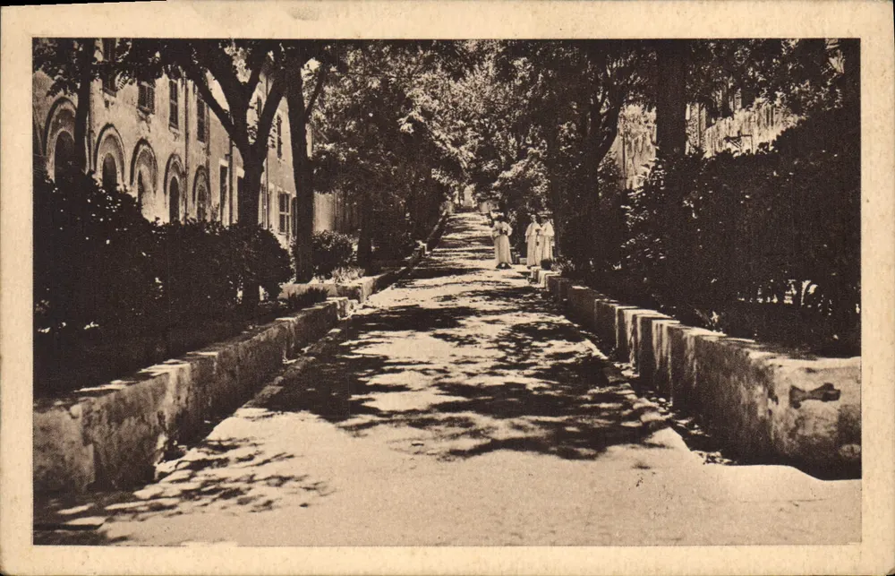 St-Michel-de-Frigolet — Allées de l'Abbaye — Verlag: Michel-de-Frigolet - Vorderseite