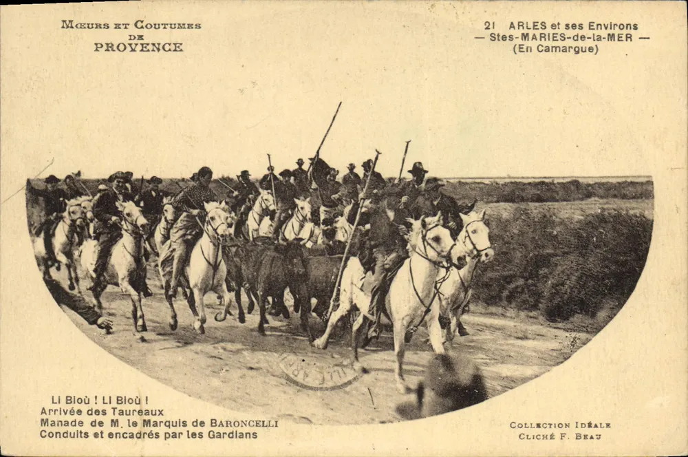 Ankunft der Stiere — Stes-Maries-de-la-Mer (In Camargue) — Sammlung Idéale, Cliché F. Beau - Vorderseite