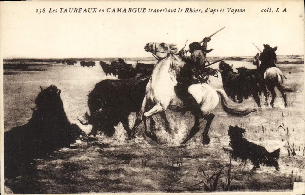 Les Taureaux en Camargue traversant le Rhône — d'après Vayson — coll. L A - Frente