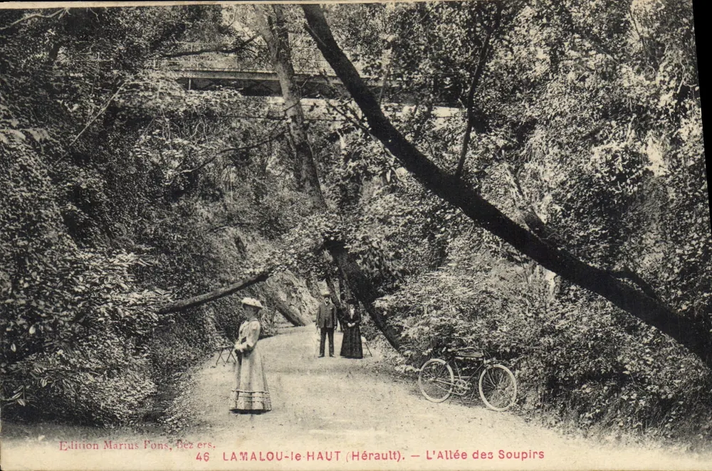 LAMALOU-le-HAUT (Hérault) — Ansicht der Allée der Seufzer — Edition Marius Fons, n°46 - Vorderseite