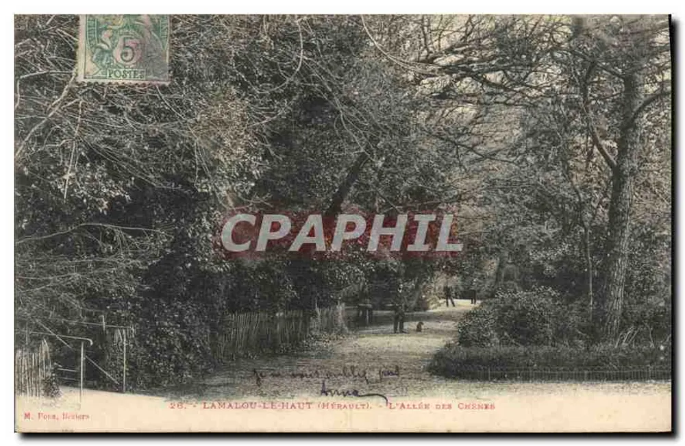 Lamalou-le-Haut (Hérault) — Die Reihe der Eichen — M. Ponna, Hérault, n°26 - Vorderseite