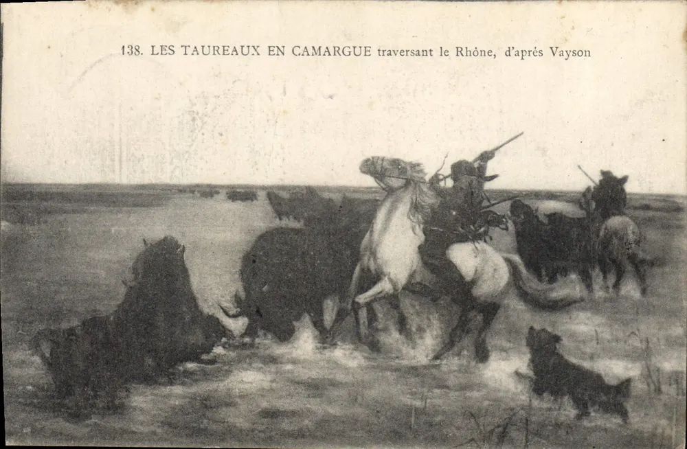 Ochsen in der Camargue, die den Rhône überqueren — nach Vayson — n° 138 - Vorderseite