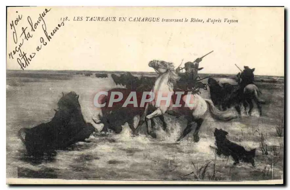Les Taureaux en Camargue traversant le Rhône — d'après Vayson — n° 138 - Recto
